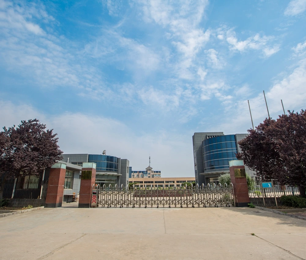 Company Profile