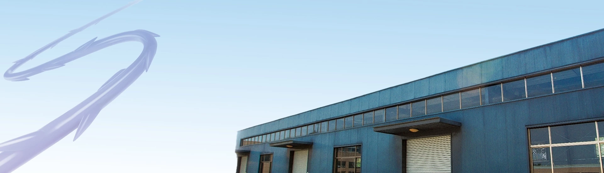 Company Profile