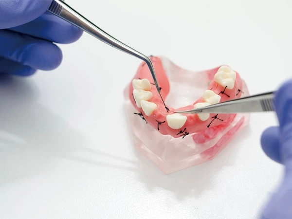 Veterinary & Dental & Medical & Ophthalmic